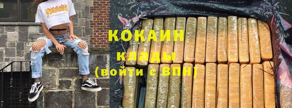 гидра Белоозёрский