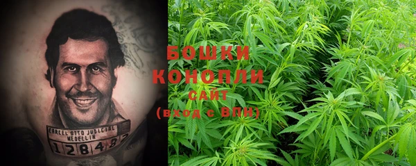 гидра Белоозёрский