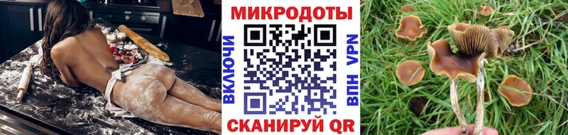 Псилоцибиновые грибы прущие грибы  Купить  Апшеронск 