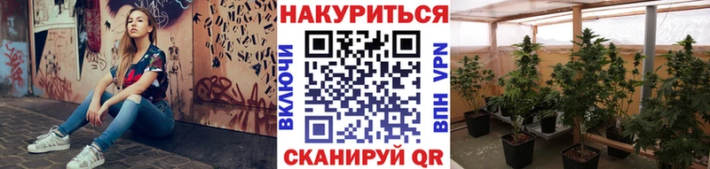 Марихуана AK-47  Купить где  Апшеронск 